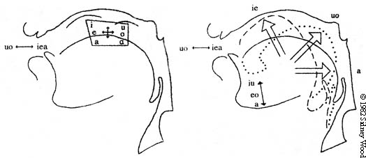 throattonguelipandbell