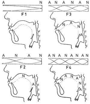 Bell vowel model: its acoustic weaknesses